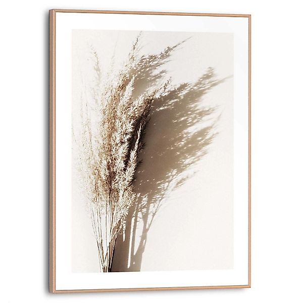 Reinders Poster "Sonniges Gras" günstig online kaufen