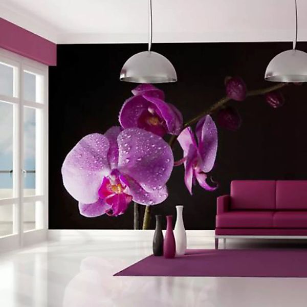 artgeist Fototapete stilvoll  Orchidee mehrfarbig Gr. 200 x 154 günstig online kaufen