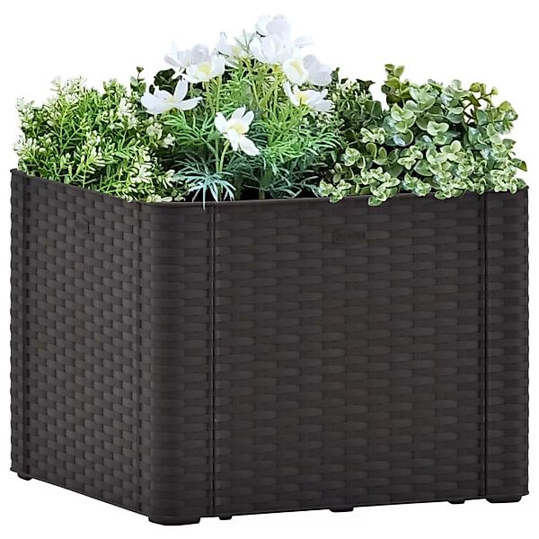 Garten-hochbeet Selbstbewässerungssystem Anthrazit 43x43x33 Cm günstig online kaufen