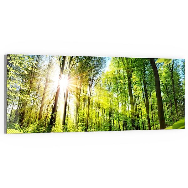 DEQORI Glasbild 'Licht durchdringt Bäume', 'Licht günstig online kaufen
