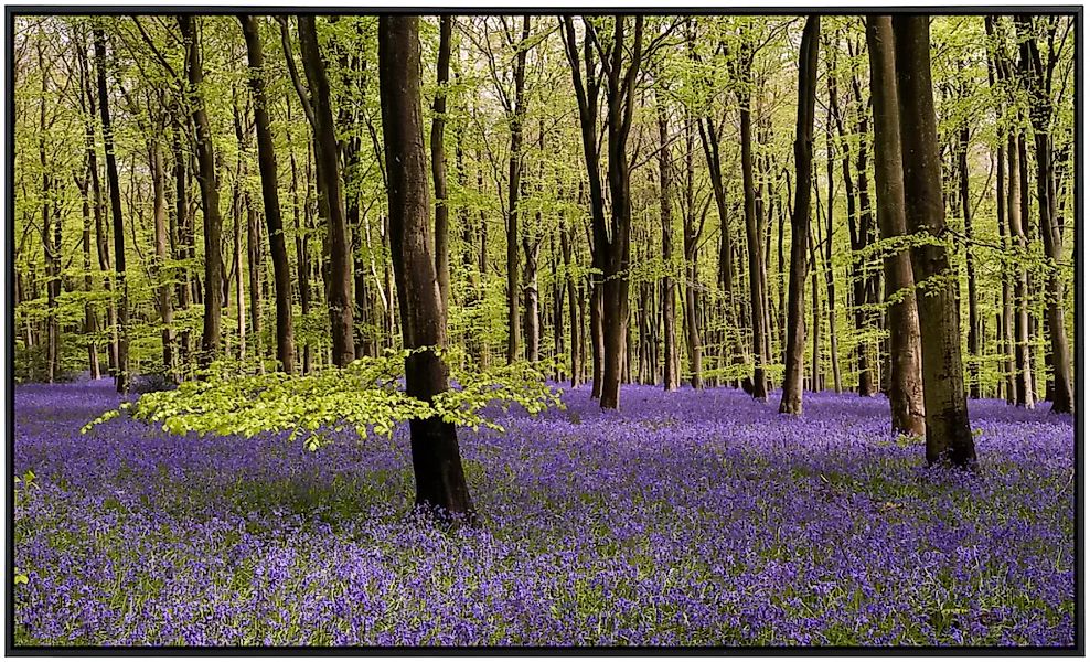 Papermoon Infrarotheizung »Wald mit Blumenwiese«, sehr angenehme Strahlungs günstig online kaufen