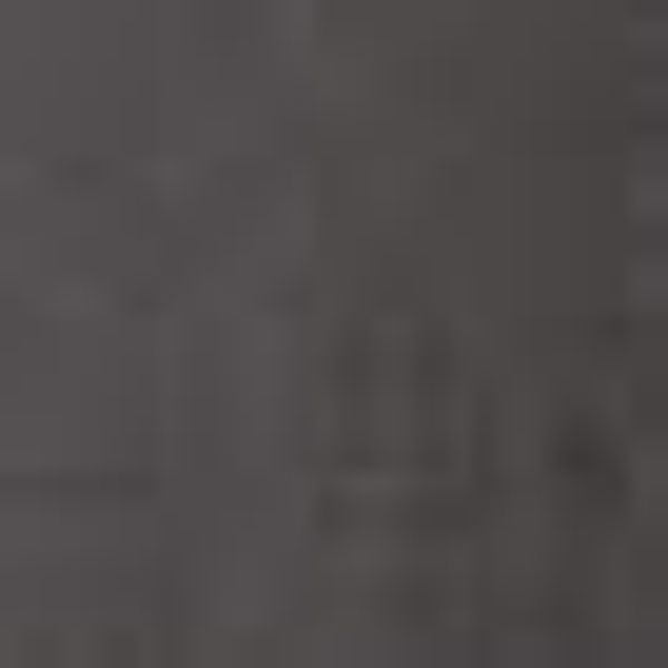 Egeria Herrenbademantel Nico, ideal für Sauna günstig online kaufen