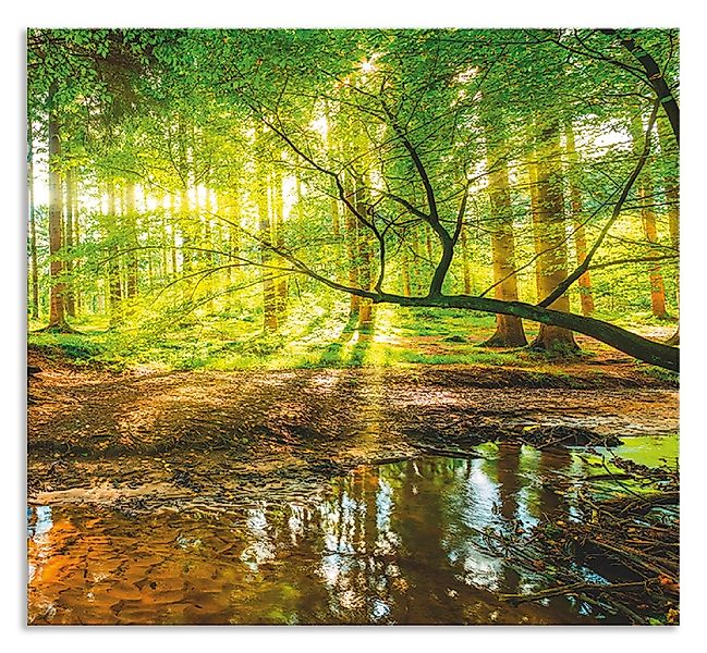 Artland Küchenrückwand "Wald mit Bach", (1 tlg.), Alu Spritzschutz mit Kleb günstig online kaufen