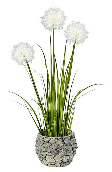 Kunstpflanze Pusteblumegras in Wasserhyazinthentopf Pusteblume, I.GE.A., Hö günstig online kaufen