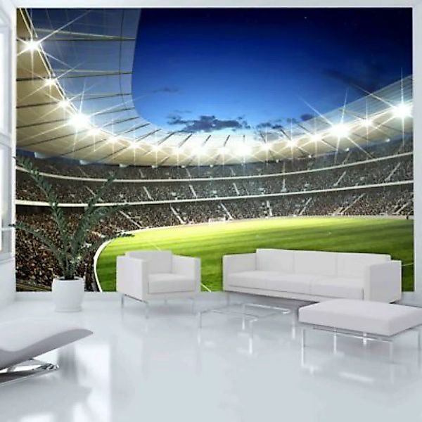artgeist Fototapete Nationalstadion mehrfarbig Gr. 250 x 193 günstig online kaufen