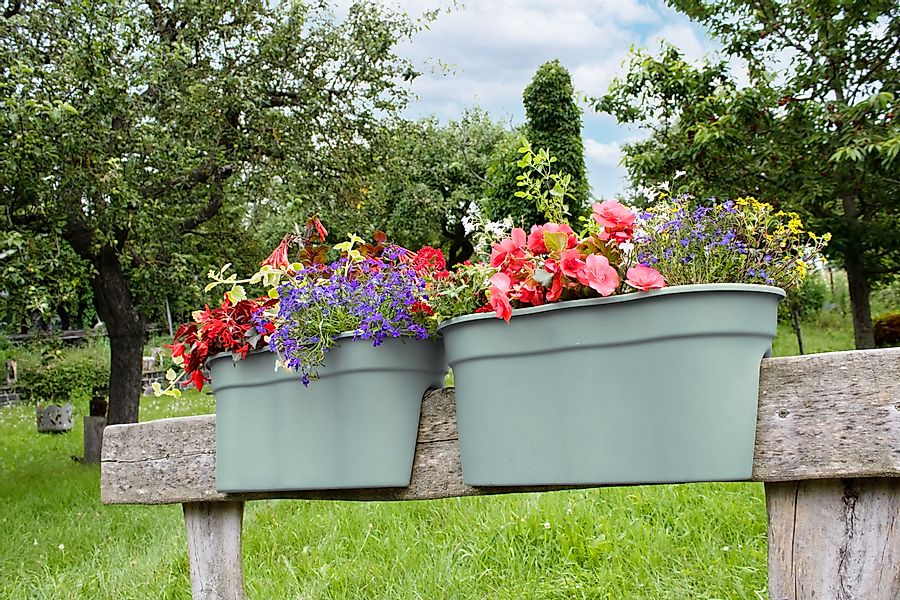 KHW Balkonkasten "Flowerclip XXL" BxTxH: 57,5x27,7x27 cm günstig online kaufen