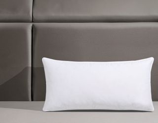 Älgdröm Federkopfkissen "Loftet, Kopfkissen 40x80 cm, 80x80 cm" Füllung: 85 günstig online kaufen