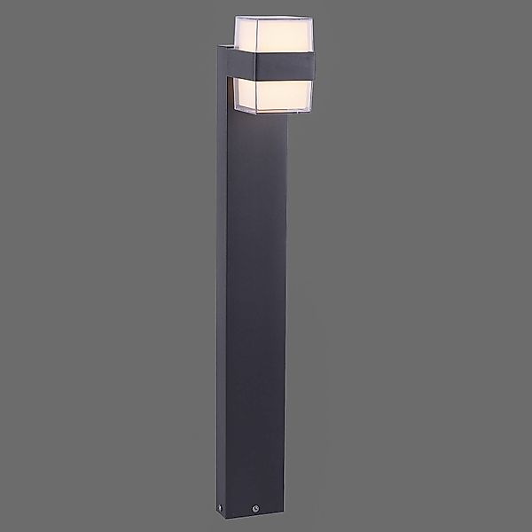 Paul Neuhaus LED Gartenleuchte »CARA«, 2 flammig, Leuchtmittel LED-Board günstig online kaufen