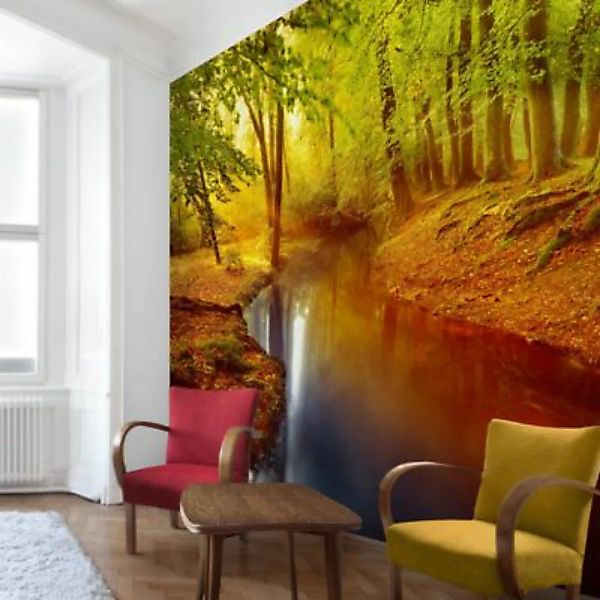 Bilderwelten Fototapete Wald Herbstwald orange Gr. 336 x 225 günstig online kaufen