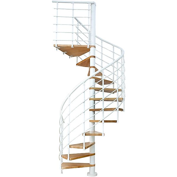 Dolle Spindeltreppe Oslo Buche Höhe bis 322 cm Ø 120 cm FSC günstig online kaufen