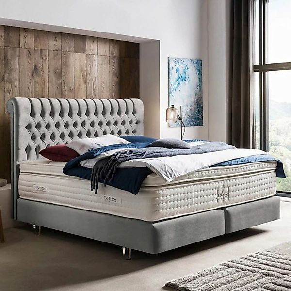 BettCo Boxspringbett Chester (in Silber Samt, 200 x 200 cm), Kostenloser Au günstig online kaufen