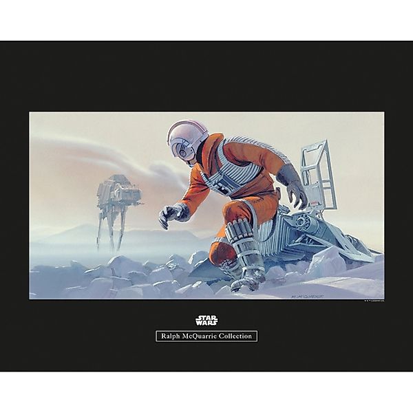 Komar Bild "Star Wars Classic RMQ TIE-Fighter Pilot" Star Wars 1 Stk. tlg. günstig online kaufen