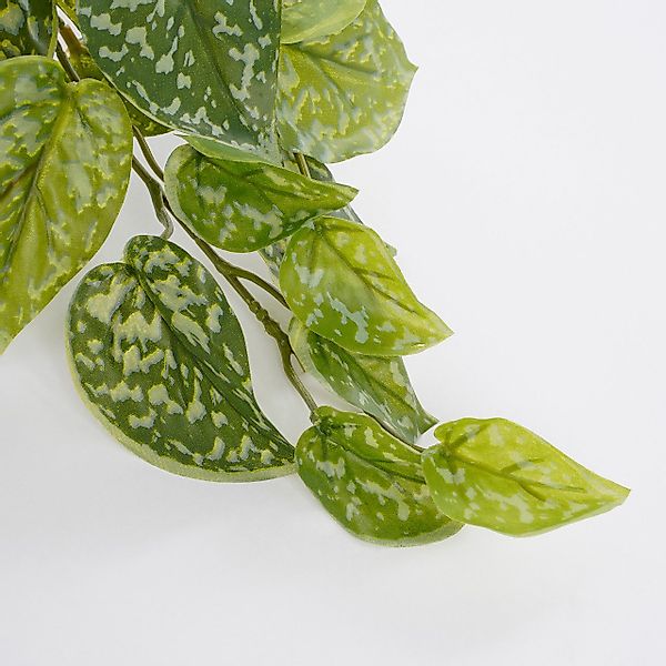Kunstpflanze Mica künstlicher Scindapsus grün im günstig online kaufen