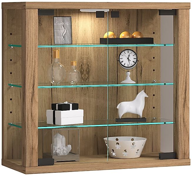 VCM Hängevitrine Wandvitrine Hängevitrine Glasvitrine Vitrosa S günstig online kaufen