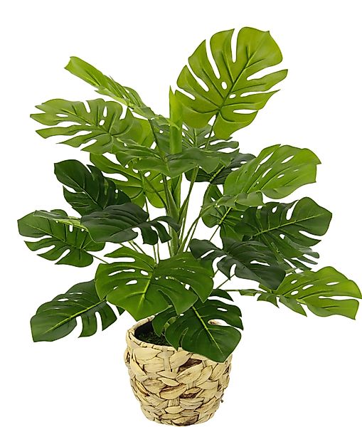 Kunstpflanze Monstera, I.GE.A., Höhe 46 cm, günstig online kaufen