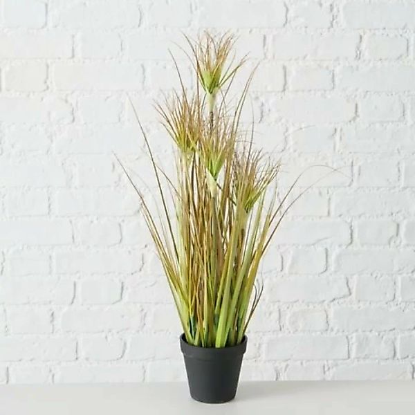 Boltze Kunstpflanzen & -blumen Topfplanze Zwiebelgras 60 cm (mehrfarbig) günstig online kaufen