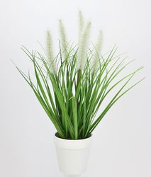 Kunstpflanze Fuchsschwanzgras im Topf, I.GE.A., Höhe günstig online kaufen