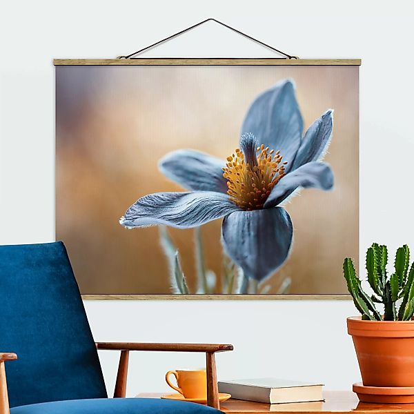 Stoffbild Blumen mit Posterleisten - Querformat Kuhschelle in Blau günstig online kaufen