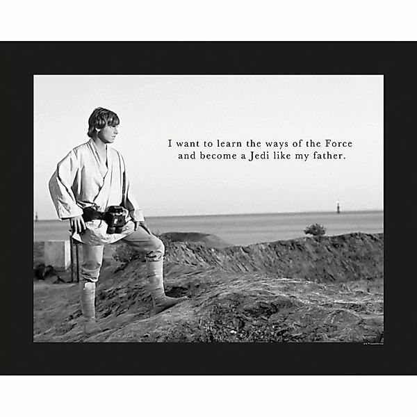 Komar Wandbild Star Wars Quote 50 x 40 cm günstig online kaufen