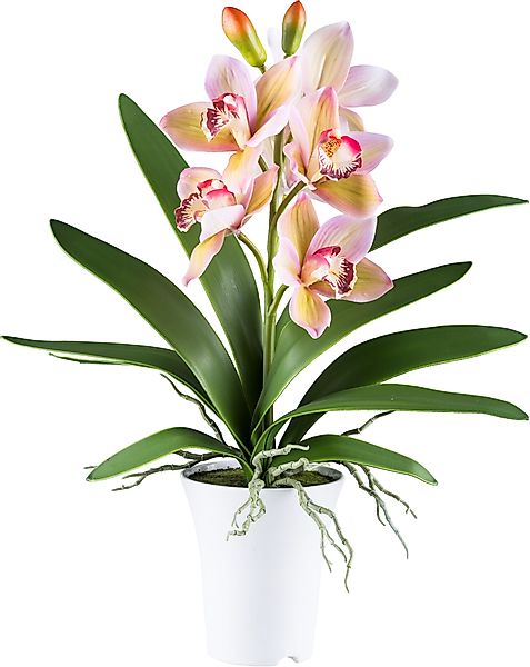 Kunstorchidee Orchidee Cymbidie, Creativ green, Höhe günstig online kaufen