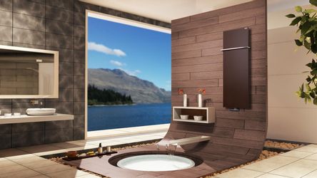 Szagato Badheizkörper Badheizkörper Design Mirror Steel günstig online kaufen