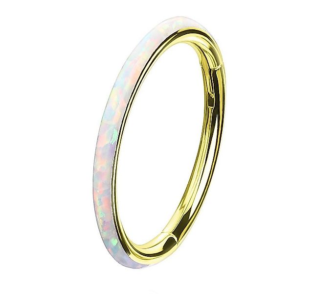 Taffstyle Nasenpiercing Septum Piercing Segmentring Scharnier Clicker mit O günstig online kaufen