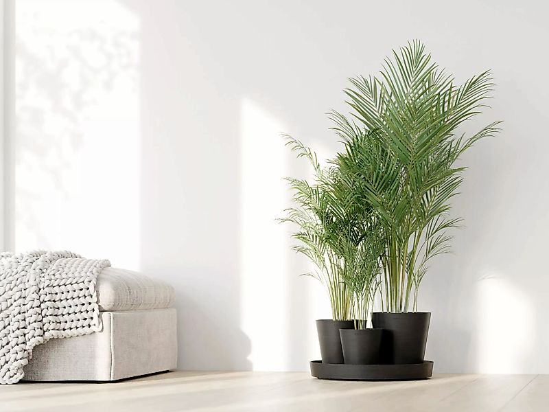 ECOPOTS Blumentopf "Dubai Dunkelgrau", für innen und außen: frostsicher, br günstig online kaufen