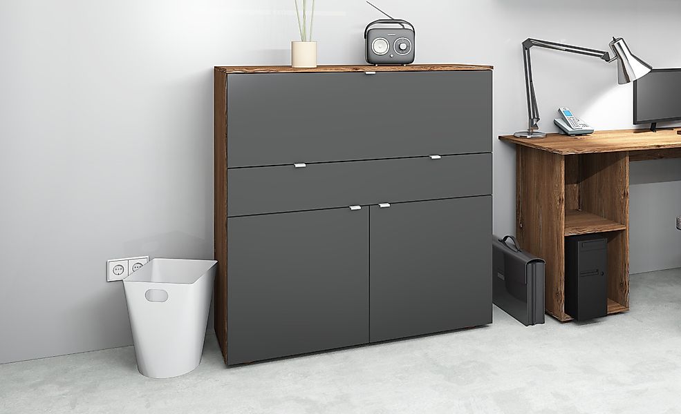 borchardt Möbel Sekretär Dolly, platzsparend, Home-Office-Schreibtisch, günstig online kaufen
