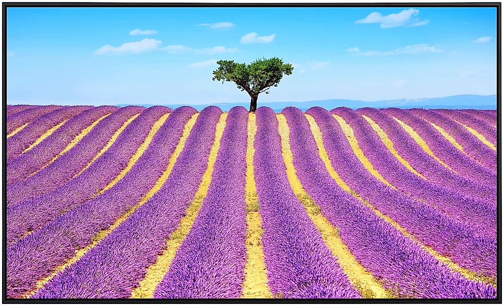 Papermoon Infrarotheizung »Lavendel in der Provence« günstig online kaufen