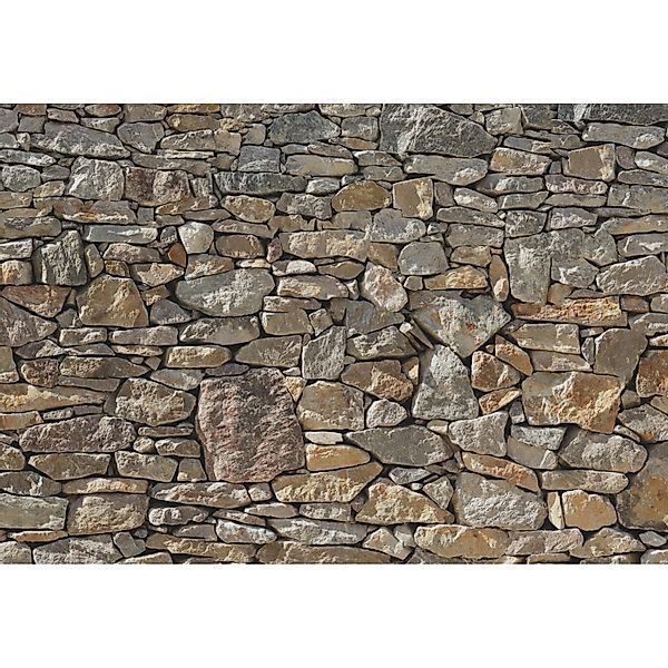 Komar Fototapete Stone Wall 368 cm x 254 cm FSC® günstig online kaufen