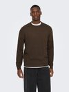 ONLY & SONS Strickpullover ONSLOUI REG günstig online kaufen