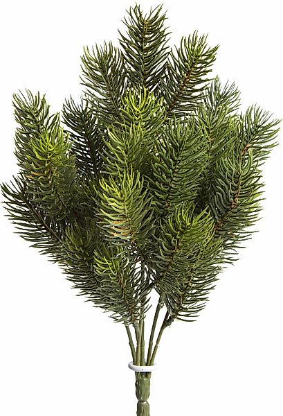 Botanic-Haus Künstliche Zimmerpflanze "Tannenbusch" günstig online kaufen
