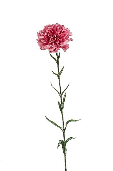 Kunstblume Blume mit Blüte, Emerald, Höhe 67 cm, Farbe: rosa, Motiv: Nelke günstig online kaufen