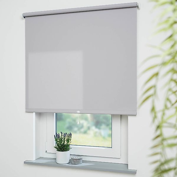 Springrollo Uni, Liedeco, Lichtschutz, mit Bohren, günstig online kaufen