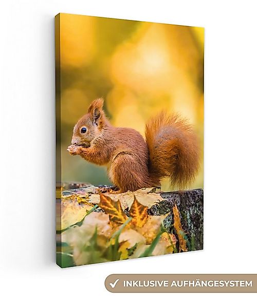 OneMillionCanvasses® Leinwandbild Eichhörnchen - Herbst - Tiere - Herbstlic günstig online kaufen