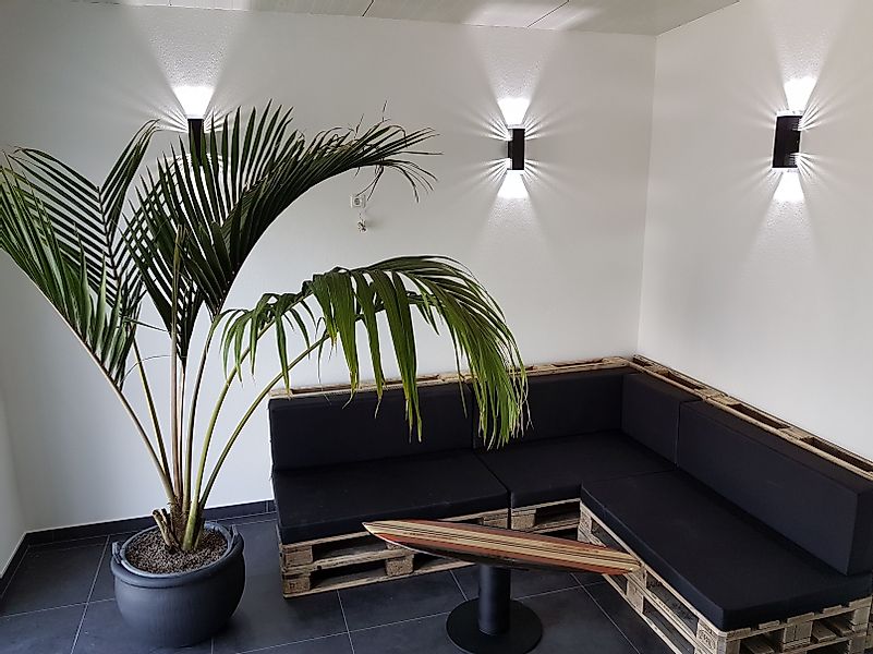 SpiceLED LED Wandleuchte Black Edition, Warmweiß günstig online kaufen