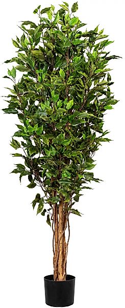 Creativ green Kunstbaum "Ficus Benjamini" günstig online kaufen