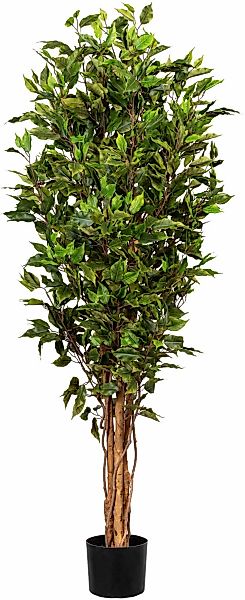 Creativ green Kunstbaum "Ficus Benjamini" günstig online kaufen