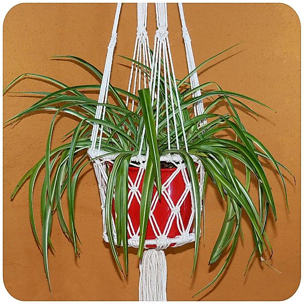 SIMANDRA Hängedekoration Blumenampel Makramee günstig online kaufen