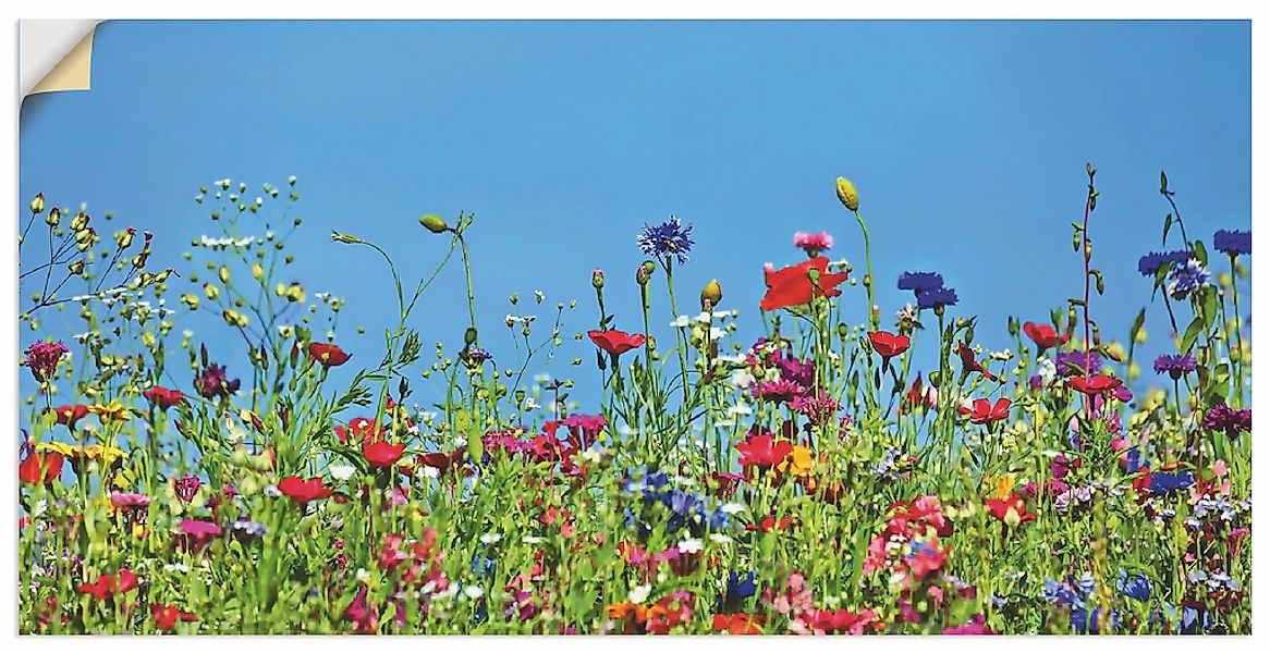 Artland Wandbild "Blumenwiese II", Blumenwiese, (1 St.), als Leinwandbild, günstig online kaufen