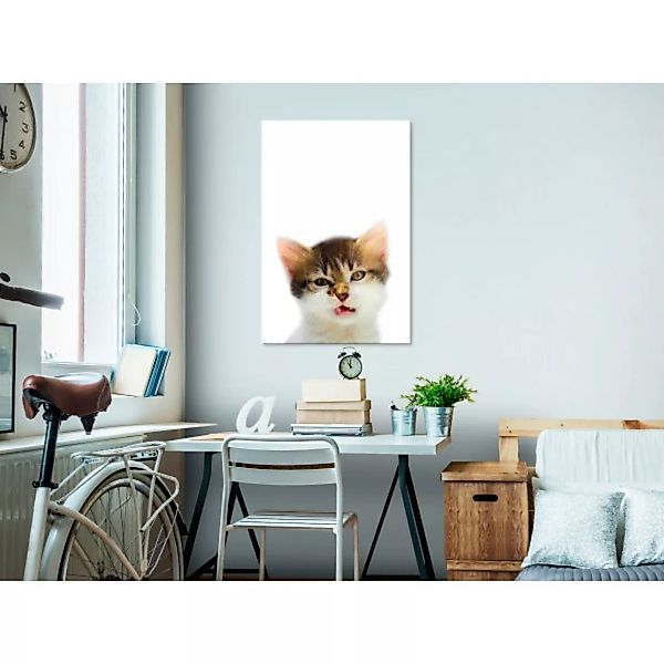 Wandbild Vexed Cat (1 Part) Vertical XXL günstig online kaufen