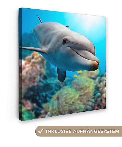 OneMillionCanvasses® Leinwandbild Delfin - Meer - günstig online kaufen