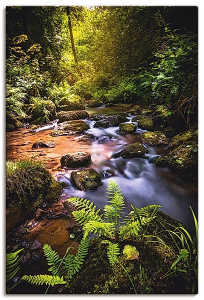 Artland Wandbild »Wildbach im Wald« Gewässer 1 Stk. tlg. als Alubild, Outdo günstig online kaufen