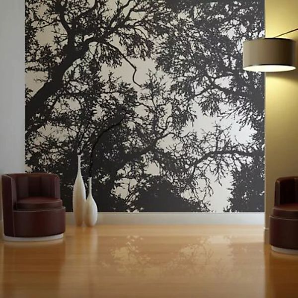 artgeist Fototapete Bleak forest schwarz/weiß Gr. 200 x 154 günstig online kaufen