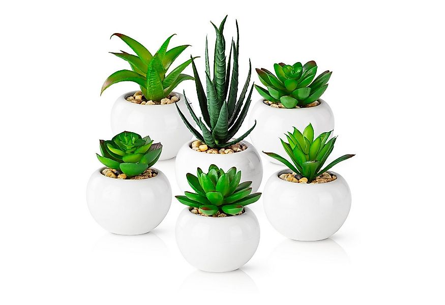 Künstliche Zimmerpflanze Kleine Kunstpflanzen & Künstliche Sukkulenten wie günstig online kaufen