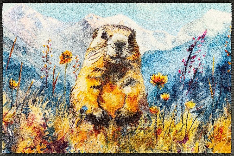 wash+dry by Kleen-Tex Fußmatte Leander, rechteckig, Höhe: 7 mm, waschbar un günstig online kaufen