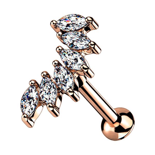 Taffstyle Piercing-Set Tragus Labret Piercing Stecker günstig online kaufen