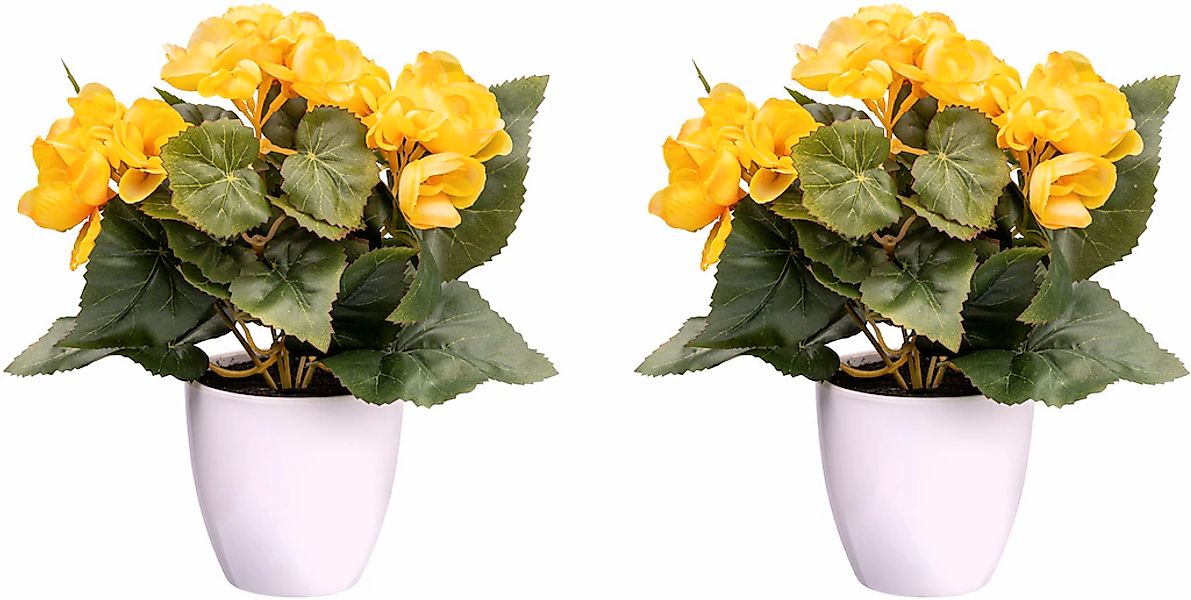 Creativ green Kunstblume "Begonienbusch" günstig online kaufen