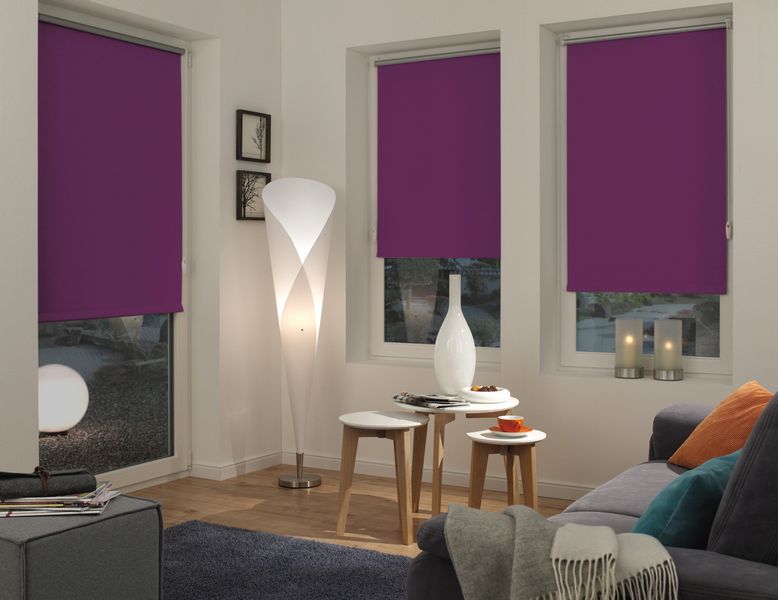 Seitenzugrollo EASYFIX Rollo Thermo ENERGIESPAREND, GARDINIA, günstig online kaufen