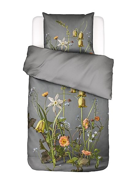 Essenza Bettwäsche Ficaria, Satin, 2 teilig, günstig online kaufen